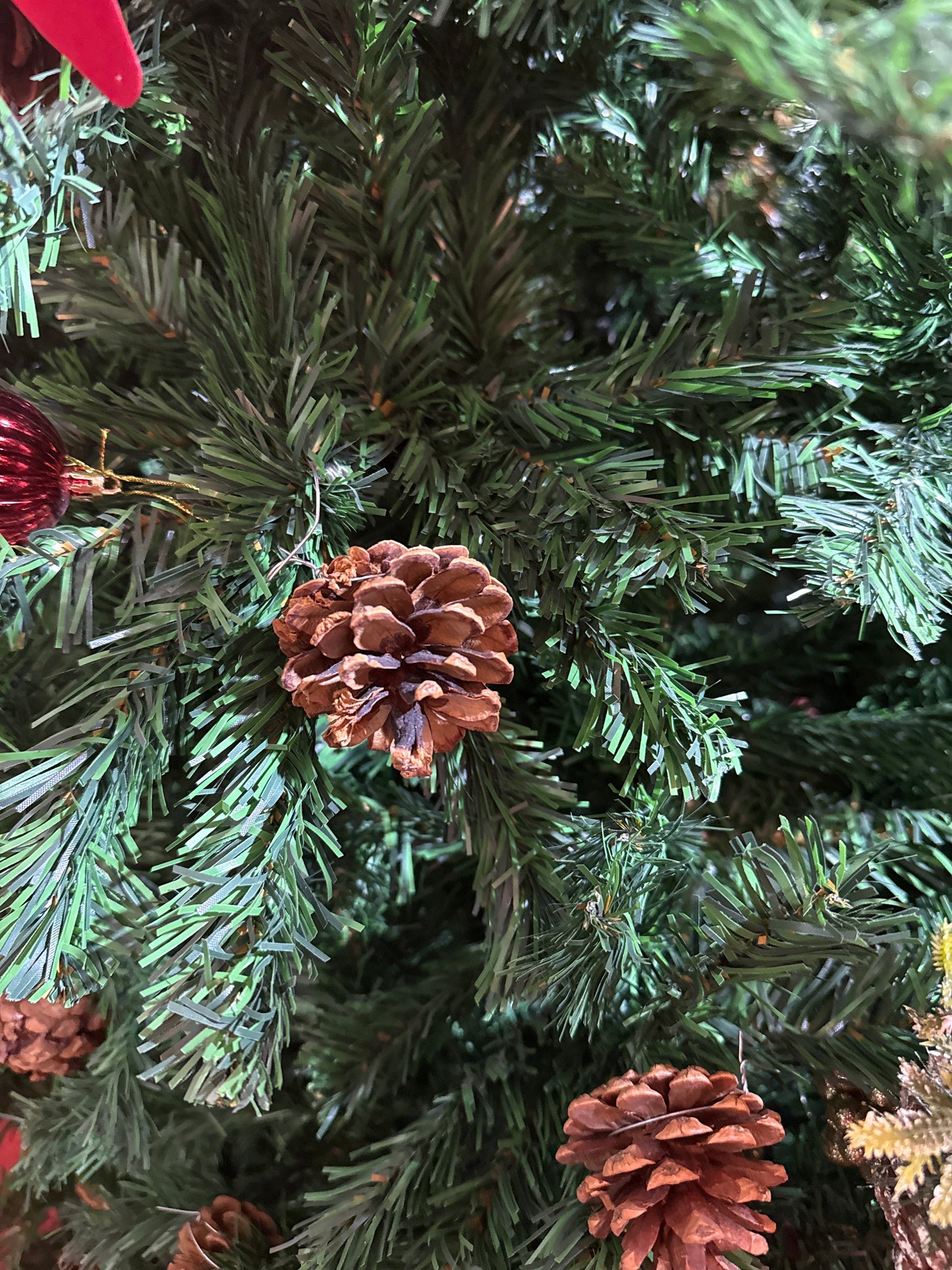 SNOW FROSTED WITH BIG CONES 5 FEET 457 TIPS UKH-44-12-0825-66