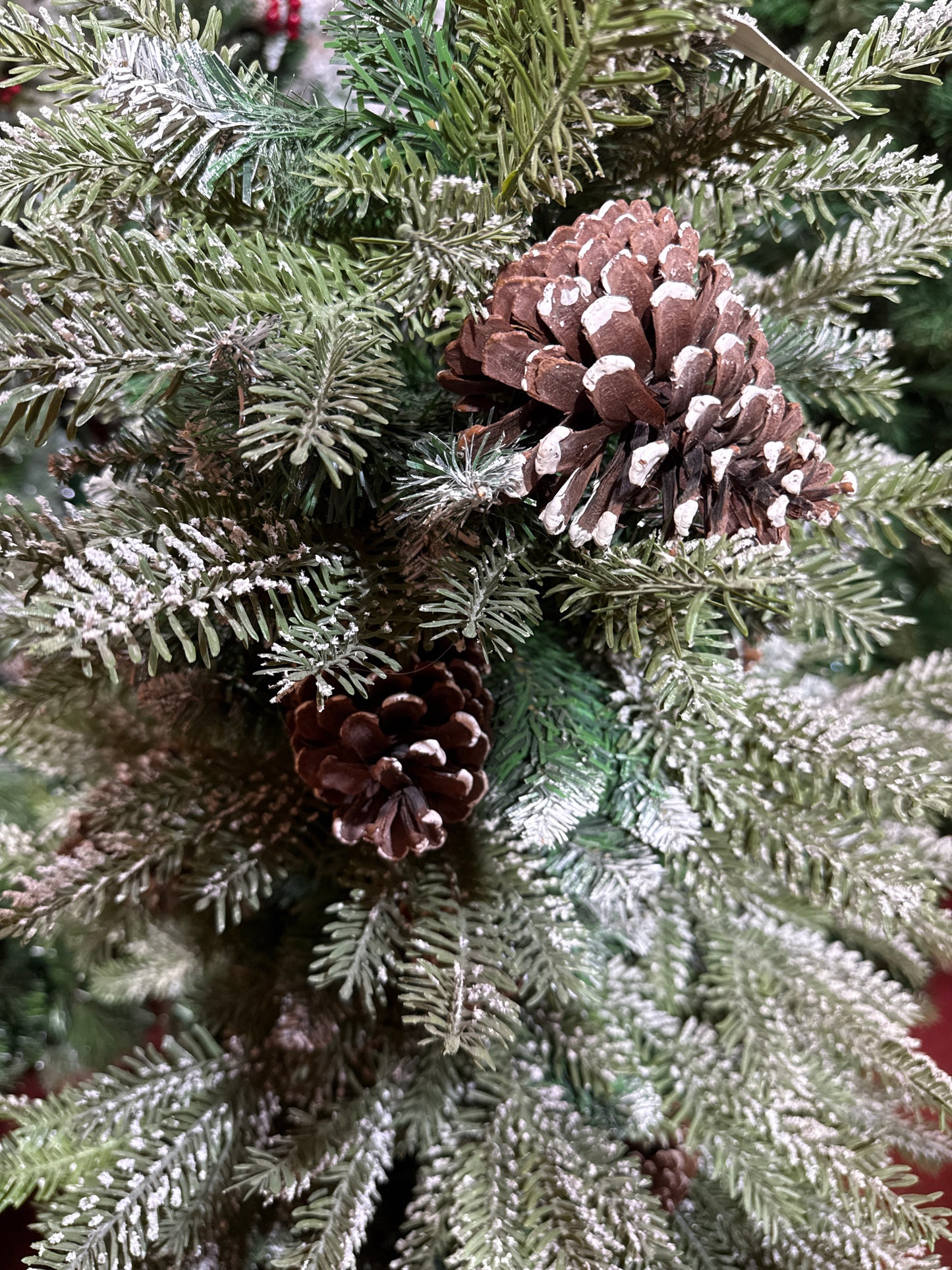 SNOW FROSTED WITH BIG CONES 6 FEET 798 TIPS UKH-44-20-0825-14