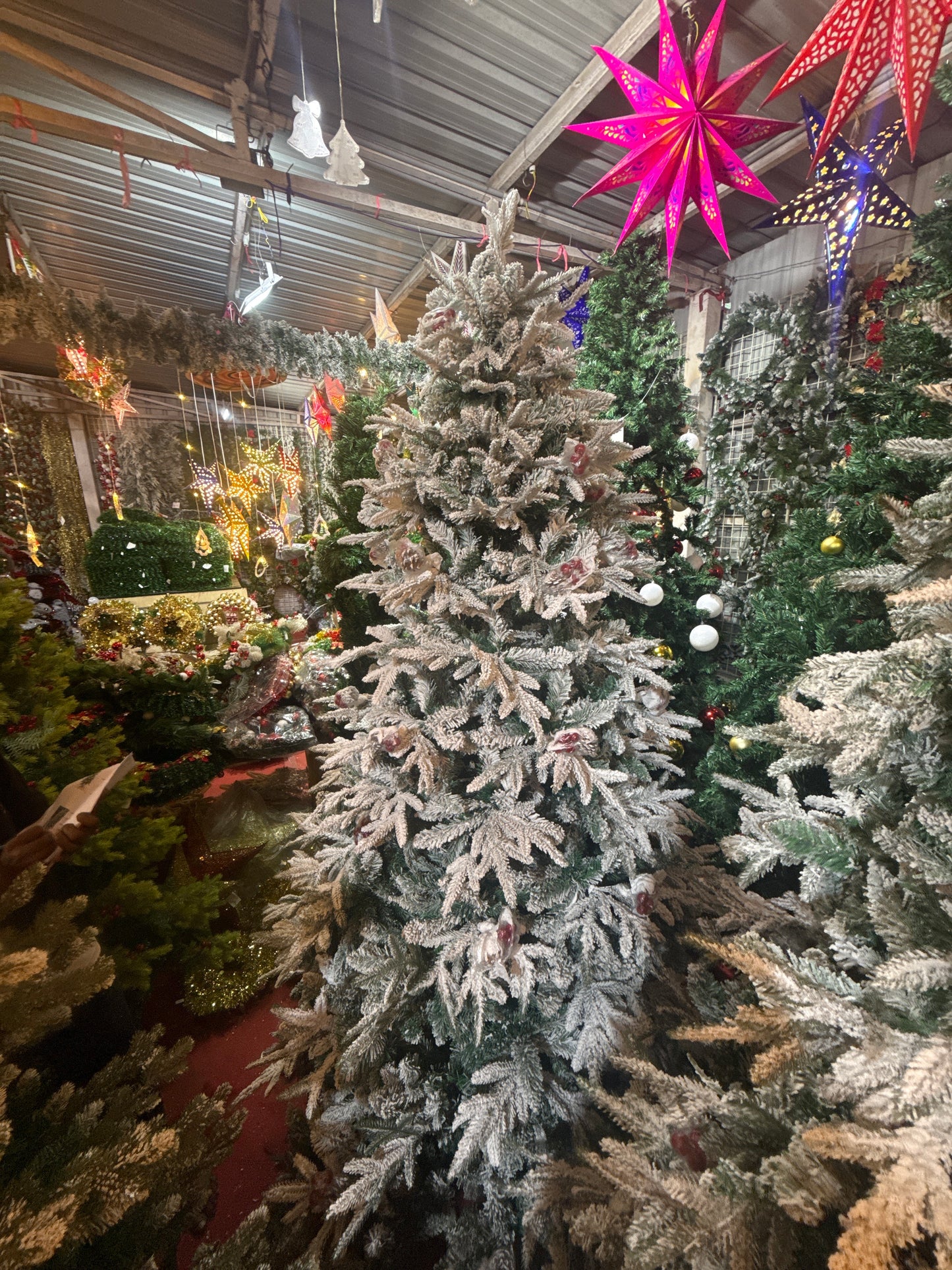 SNOW FROSTED WITH BIG CONES 7 FEET 1079 TIPS UKH-44-26-0825-25